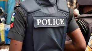 Police Arrest 2 Specialised In killing Cab Drivers In Delta